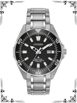 Citizen Eco-Drive Promaster Diver Mens Watch